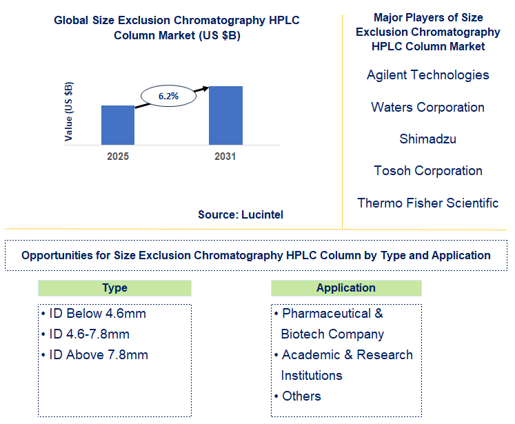Size Exclusion Chromatography HPLC Column Market Trends and Forecast